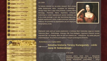 Wygląd menu witryny