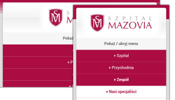 układ pionowy i poziomy